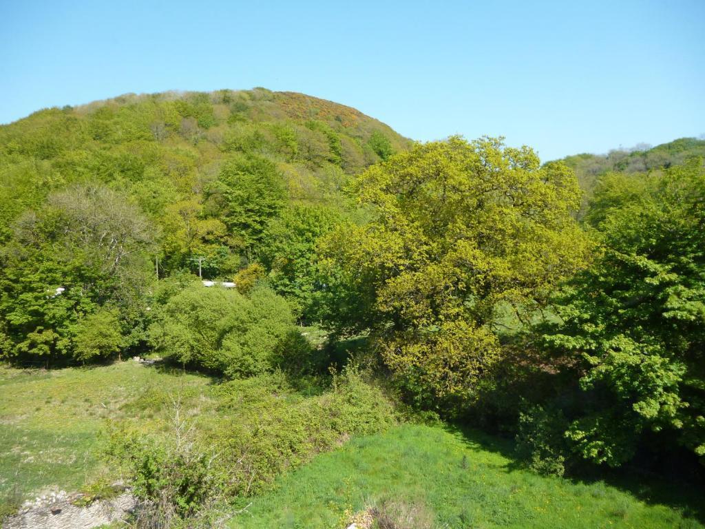 Score Valley Country House Ilfracombe Bilik gambar