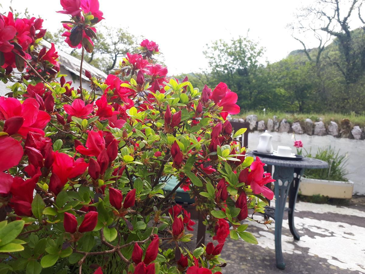 Score Valley Country House Ilfracombe Luaran gambar