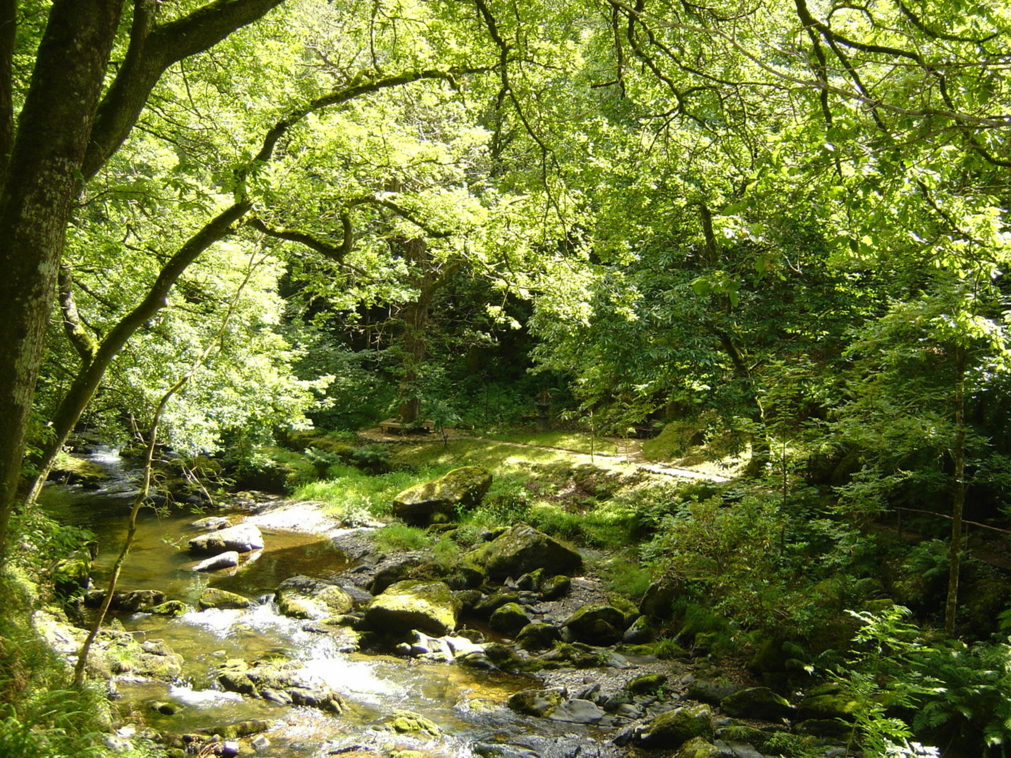 Score Valley Country House Ilfracombe Luaran gambar